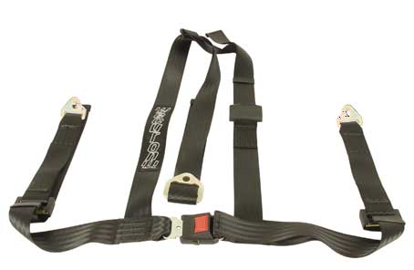 Securon Full harness