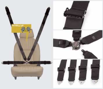 Securon Full harness