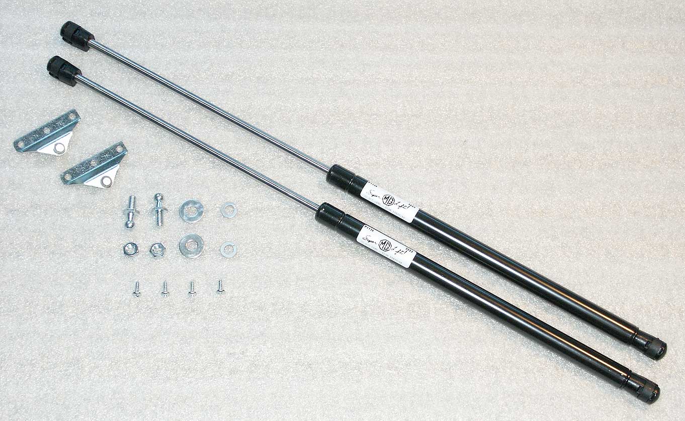 Gas strut